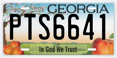 GA license plate PTS6641