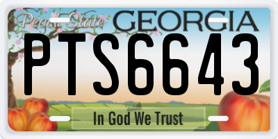 GA license plate PTS6643