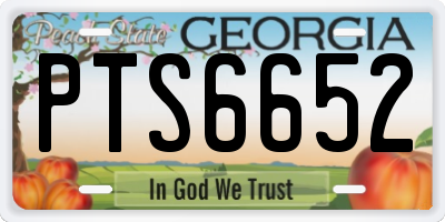 GA license plate PTS6652