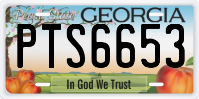 GA license plate PTS6653