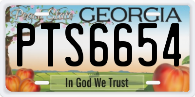 GA license plate PTS6654