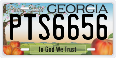 GA license plate PTS6656