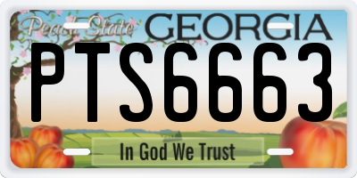 GA license plate PTS6663