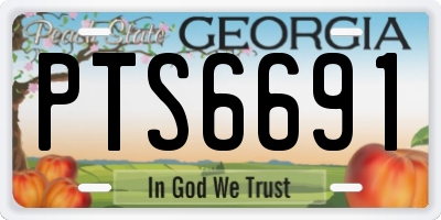 GA license plate PTS6691