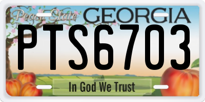 GA license plate PTS6703