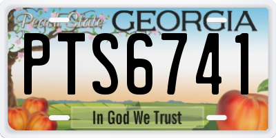 GA license plate PTS6741