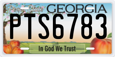 GA license plate PTS6783