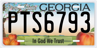 GA license plate PTS6793