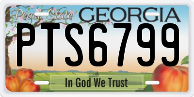 GA license plate PTS6799