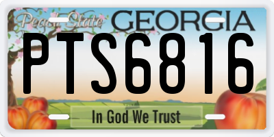 GA license plate PTS6816