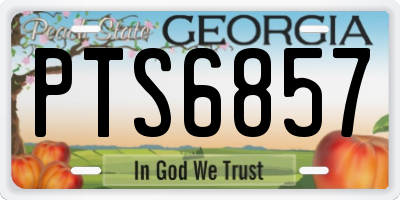 GA license plate PTS6857