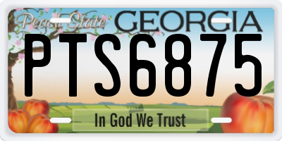 GA license plate PTS6875