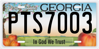 GA license plate PTS7003