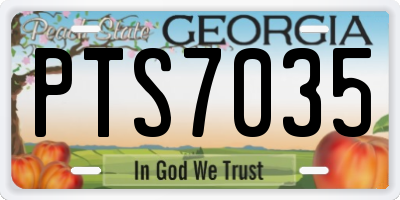 GA license plate PTS7035