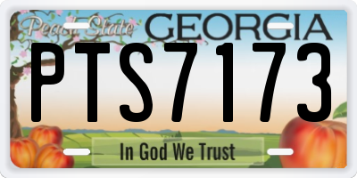 GA license plate PTS7173