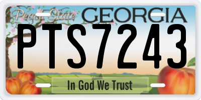 GA license plate PTS7243