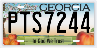 GA license plate PTS7244
