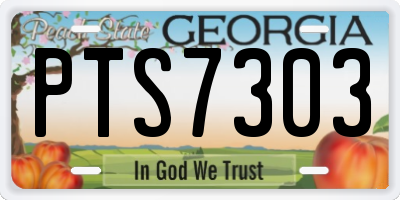 GA license plate PTS7303
