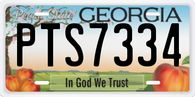 GA license plate PTS7334