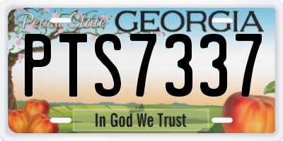 GA license plate PTS7337