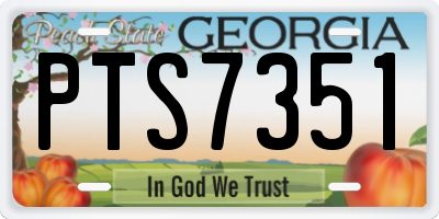 GA license plate PTS7351