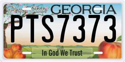 GA license plate PTS7373