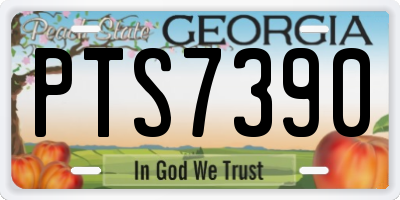 GA license plate PTS7390