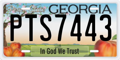 GA license plate PTS7443