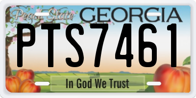 GA license plate PTS7461