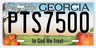 GA license plate PTS7500