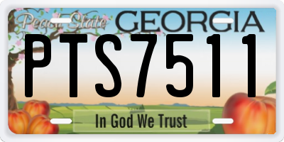 GA license plate PTS7511