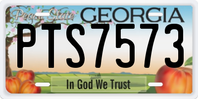 GA license plate PTS7573