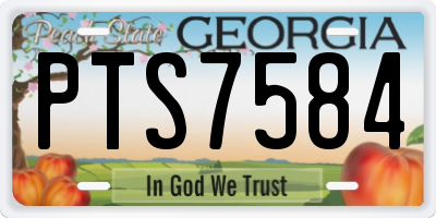 GA license plate PTS7584