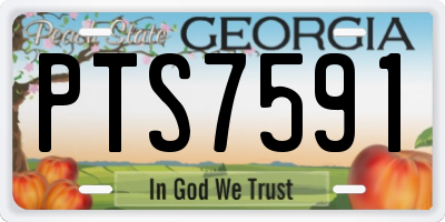 GA license plate PTS7591