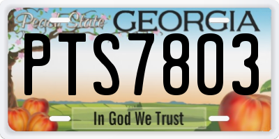 GA license plate PTS7803