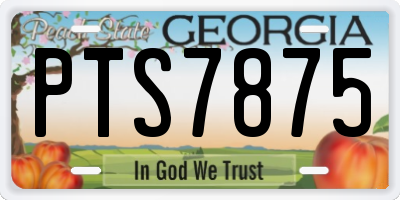 GA license plate PTS7875