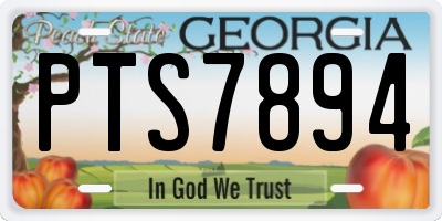 GA license plate PTS7894
