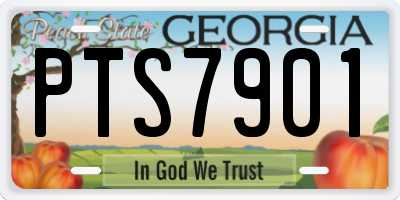 GA license plate PTS7901
