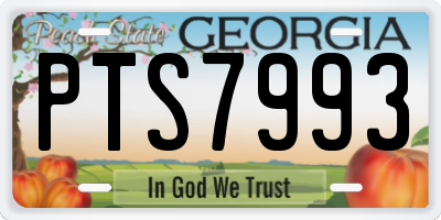 GA license plate PTS7993