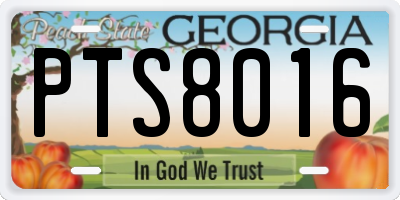 GA license plate PTS8016