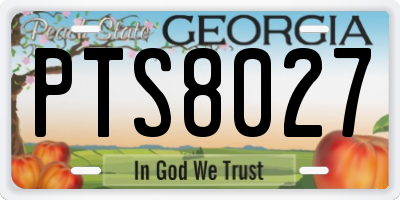 GA license plate PTS8027