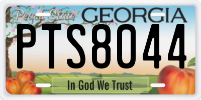 GA license plate PTS8044