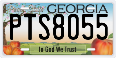 GA license plate PTS8055
