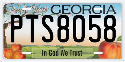 GA license plate PTS8058