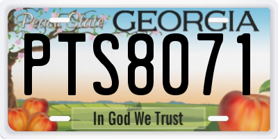 GA license plate PTS8071