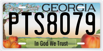 GA license plate PTS8079