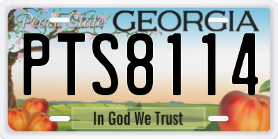 GA license plate PTS8114