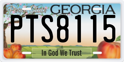 GA license plate PTS8115