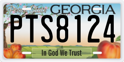 GA license plate PTS8124