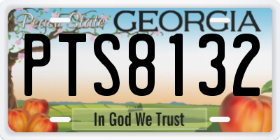 GA license plate PTS8132